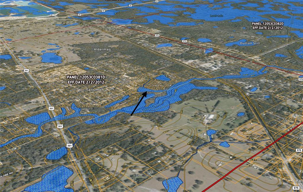 This is a flood hazard map showing blue shaded areas over a residential landscape — BARTH DRIVE, DADE CITY, FL