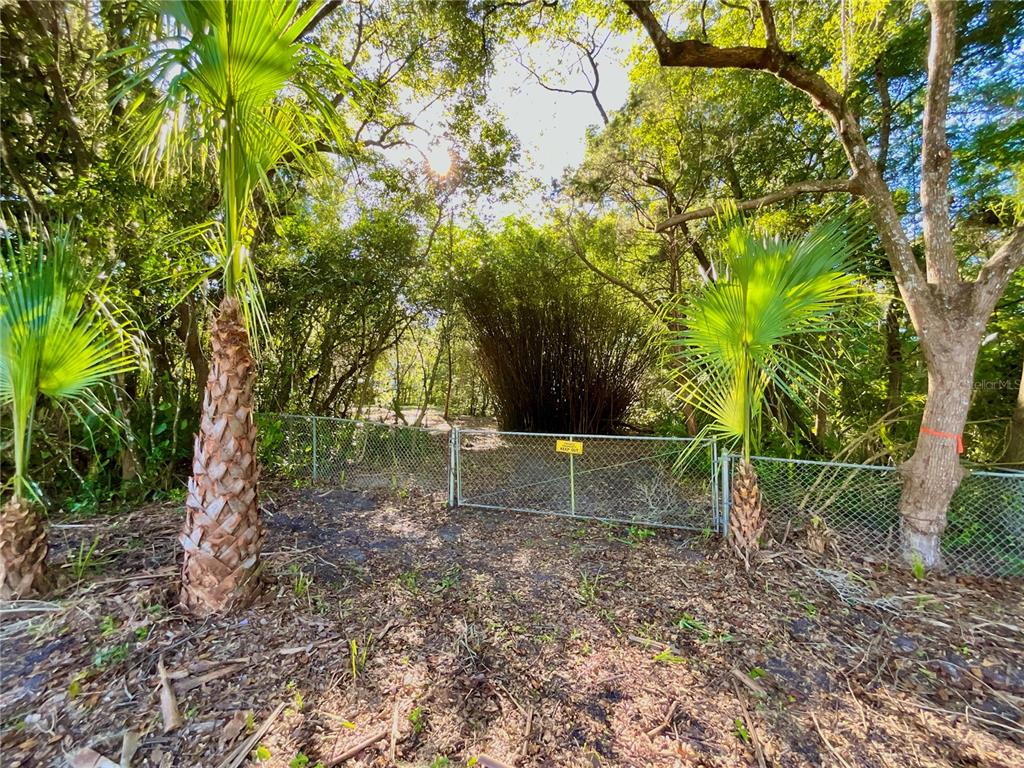 A chain-link fence with a gate stands in a wooded area with two palm trees — TROUT STREET, MELROSE, FL