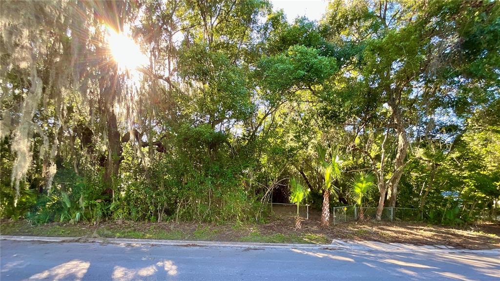 A vacant, wooded residential lot is bordered by a chain-link fence and a paved street — TROUT STREET, MELROSE, FL