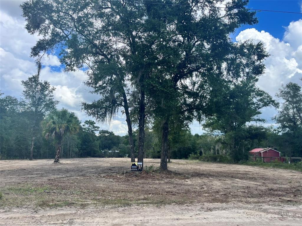 7731 NE 97TH COURT, BRONSON, FL — photo 4 of 6