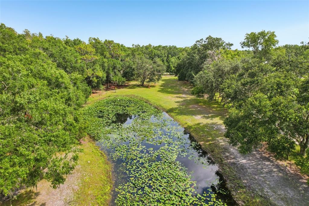 5321 BRUTON ROAD, PLANT CITY, FL — photo 3 of 16