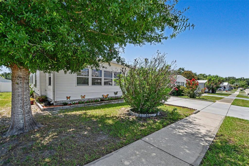 A white mobile home with a front garden and a sidewalk under a large tree — 3902 JULIE DRIVE, WESLEY CHAPEL, FL