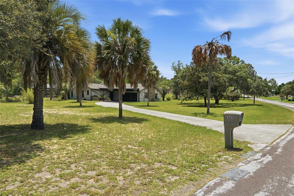 A single-story house with a long driveway and palm trees sits on a grassy lot — 385 N CORNISH POINT, LECANTO, FL