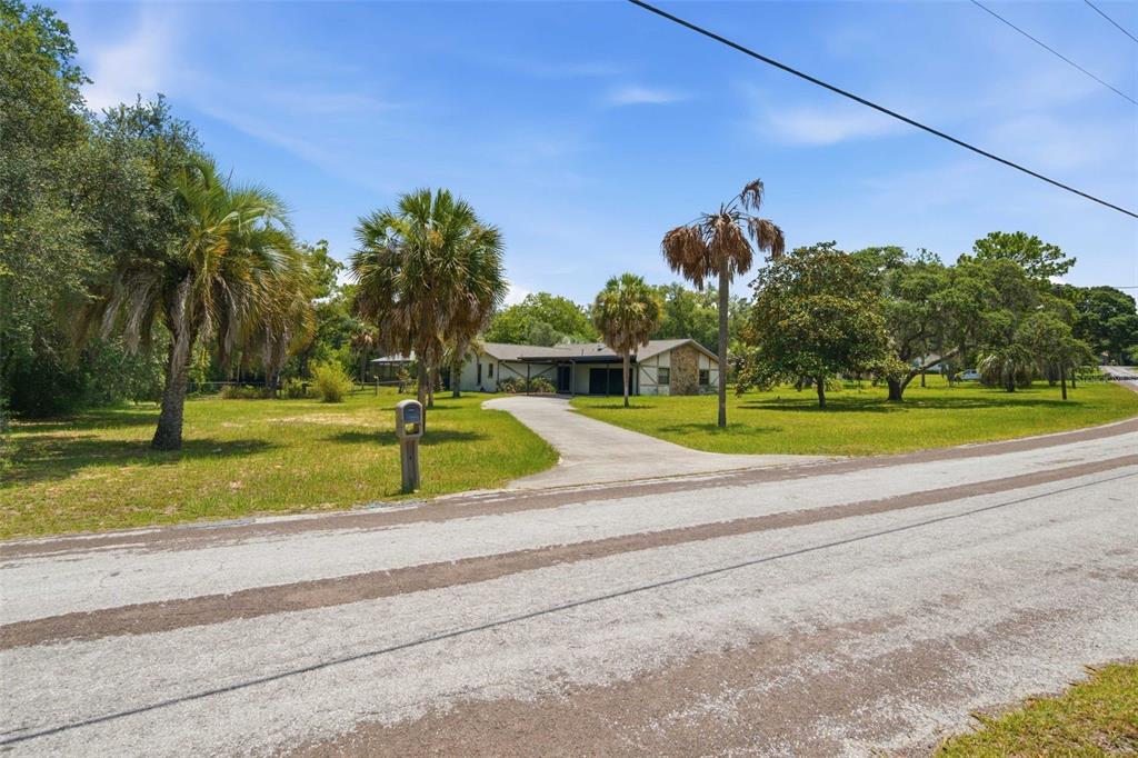 A single-story house with a concrete driveway sits on a grassy lot with palm trees — 385 N CORNISH POINT, LECANTO, FL