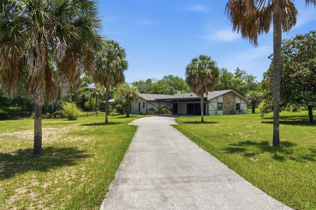 A concrete driveway leads to a single-story house with a carport and palm trees — 385 N CORNISH POINT, LECANTO, FL