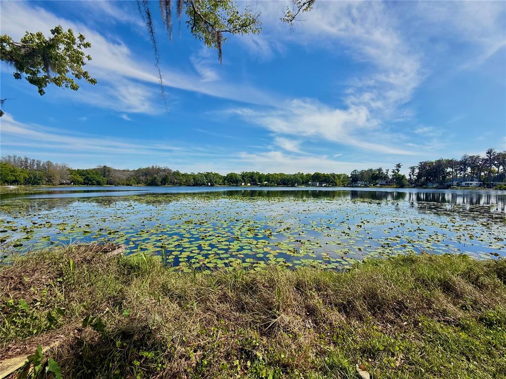 14618 GENEVA DRIVE, ODESSA, FL — photo 4 of 22