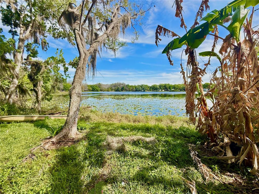 14618 GENEVA DRIVE, ODESSA, FL — photo 5 of 22