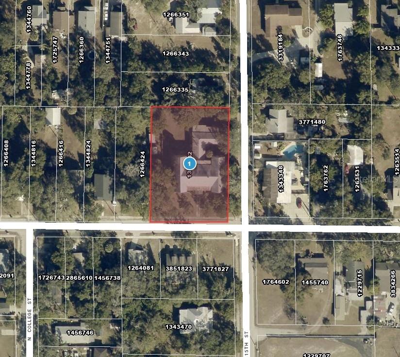 1502 HIGH STREET, LEESBURG, FL — photo 3 of 3