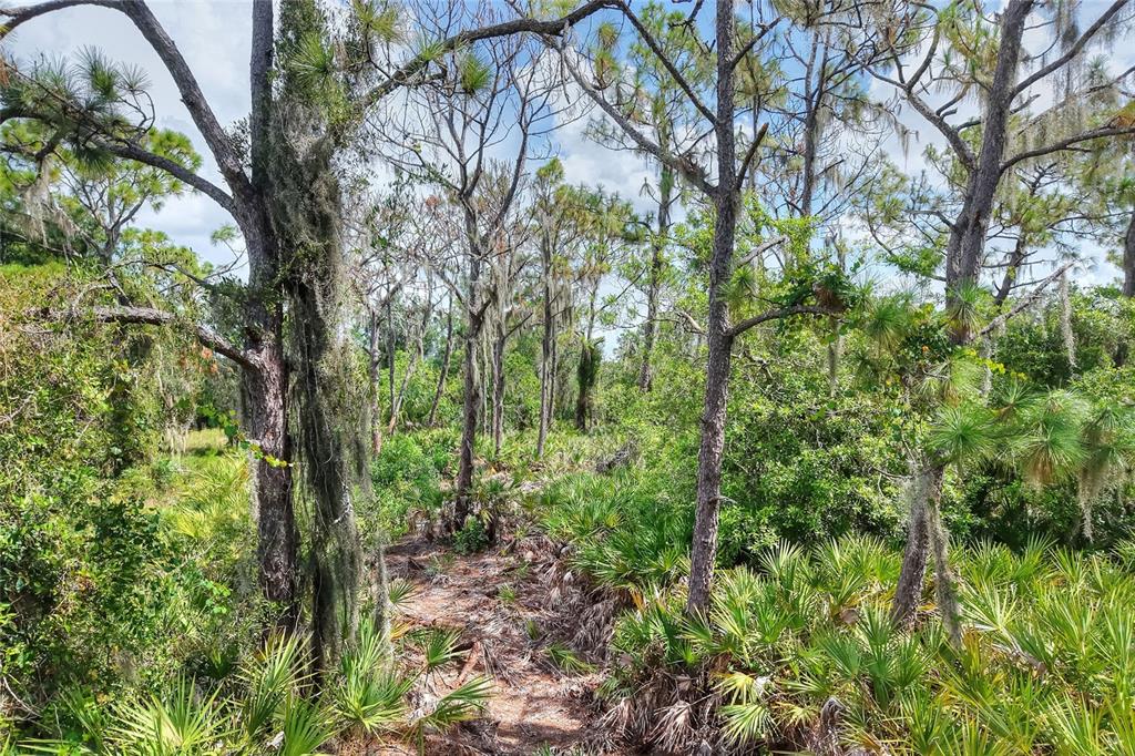 An aerial view shows a wooded, rectangular plot of land with a marked easement access — SE 33RD STREET, RUSKIN, FL