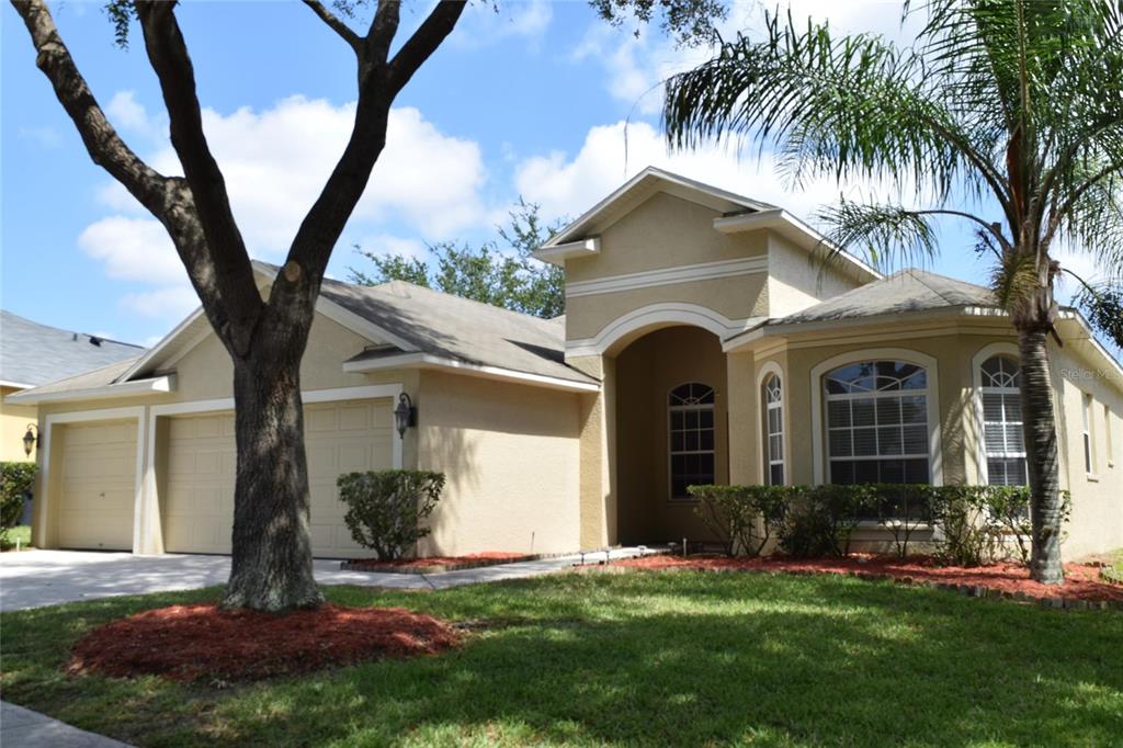 A single-story tan house with a three-car garage, arched entryway, and a large front tree — 4222 BALINGTON DRIVE, VALRICO, FL