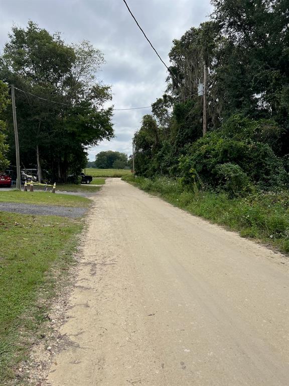 A gravel road leads past trees toward an open field under a cloudy sky — 000 NE 40TH PLACE, WILLISTON, FL