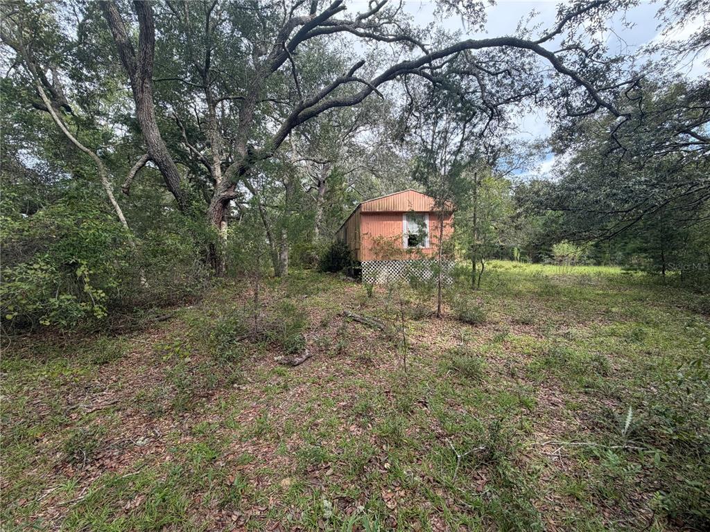 11590 NE 88TH LANE, BRONSON, FL — photo 3 of 9
