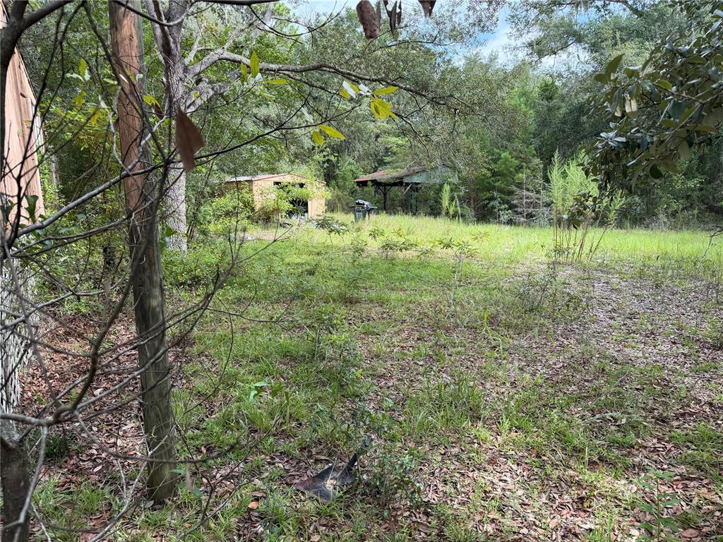 11590 NE 88TH LANE, BRONSON, FL — photo 4 of 9