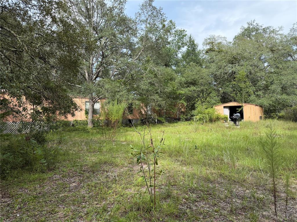 11590 NE 88TH LANE, BRONSON, FL — photo 5 of 9
