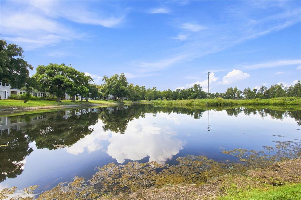 A calm pond reflects the surrounding trees and sky in a residential neighborhood — 2251 PARK CRESCENT DRIVE, LAND O LAKES, FL