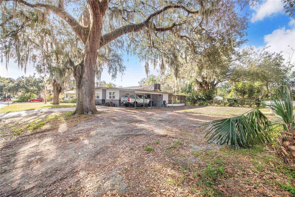 A single-story house with a carport sits under large oak trees on a dirt lot — 308 GRANADA ROAD, AUBURNDALE, FL