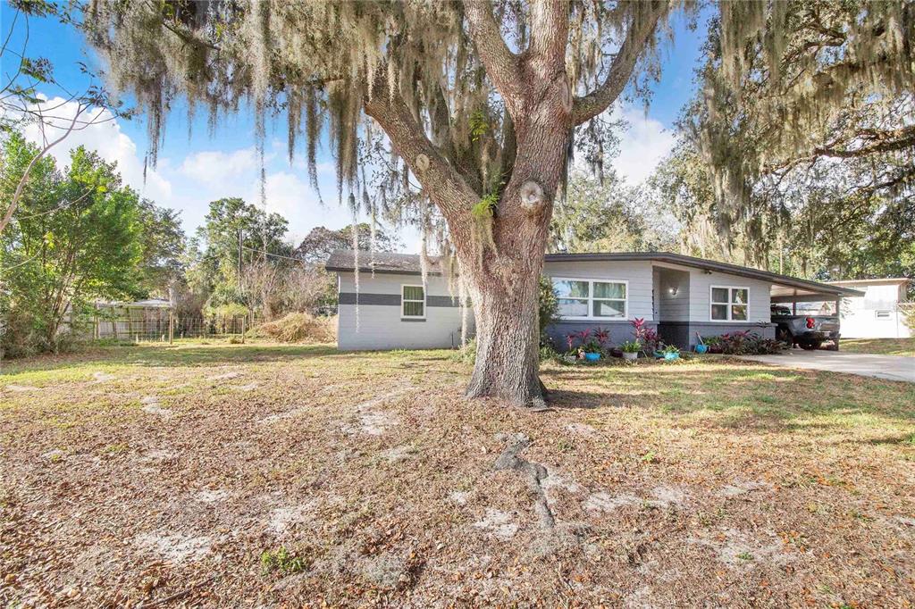 A single-story house with a gray exterior sits behind a large oak tree — 308 GRANADA ROAD, AUBURNDALE, FL