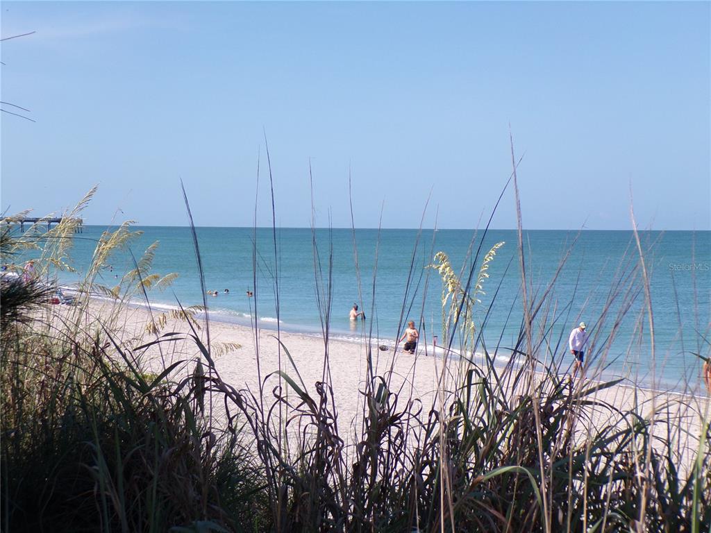 A sandy beach with tall dune grasses, people swimming, and a pier in the distance — 1124 SUNSET DRIVE, VENICE, FL