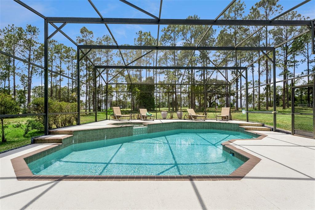 A screened-in swimming pool with a spa and lounge chairs on a concrete patio — 259 NORTHAMPTON DRIVE, DAVENPORT, FL