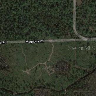 MAGNOLIA ROAD