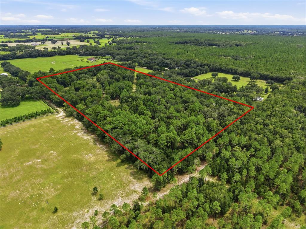 SE 207 COURT, MORRISTON, FL — photo 4 of 10