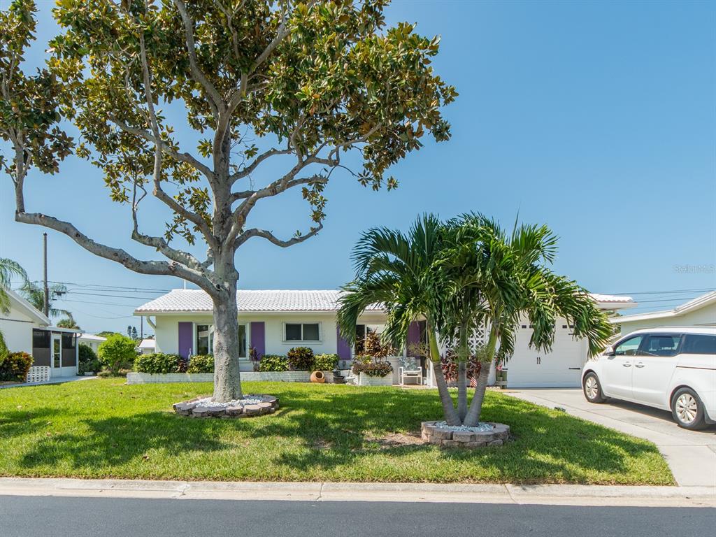 A single-story house with a white roof, purple shutters, and a large tree in the yard — 14104 89TH AVENUE, SEMINOLE, FL