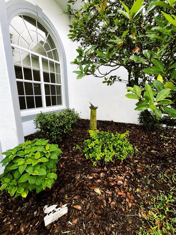 A garden bed with shrubs and a sundial sits beneath an arched window on a house — 6513 CARDINAL CREST DRIVE, NEW PORT RICHEY, FL