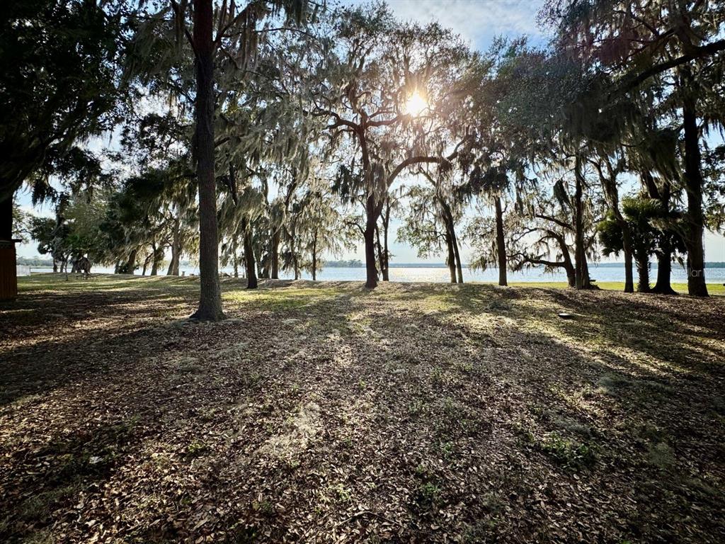 A grassy, leaf-covered yard with large, moss-draped trees overlooks a lake under a bright sun — 25225 NE 141ST LANE NE, SALT SPRINGS, FL