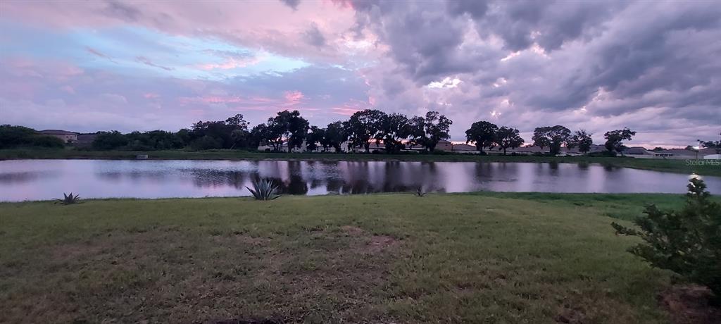 A grassy yard overlooks a calm pond with a line of trees under a cloudy sky — 812 KINGS PINE COURT, RUSKIN, FL