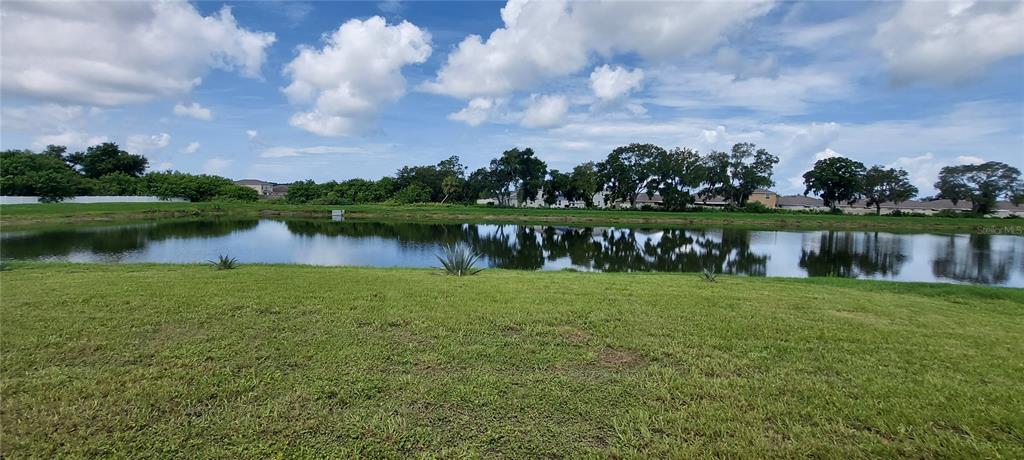 A grassy lawn overlooks a calm pond with a line of trees in the background — 812 KINGS PINE COURT, RUSKIN, FL