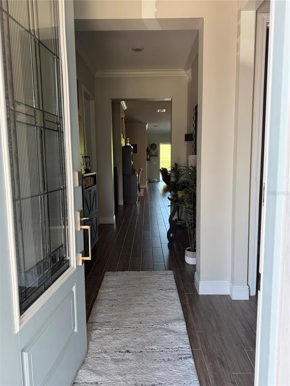 A view from an open front door into a hallway with wood-look tile flooring — 16136 VOLTERRA POINT, BELLA COLLINA, FL