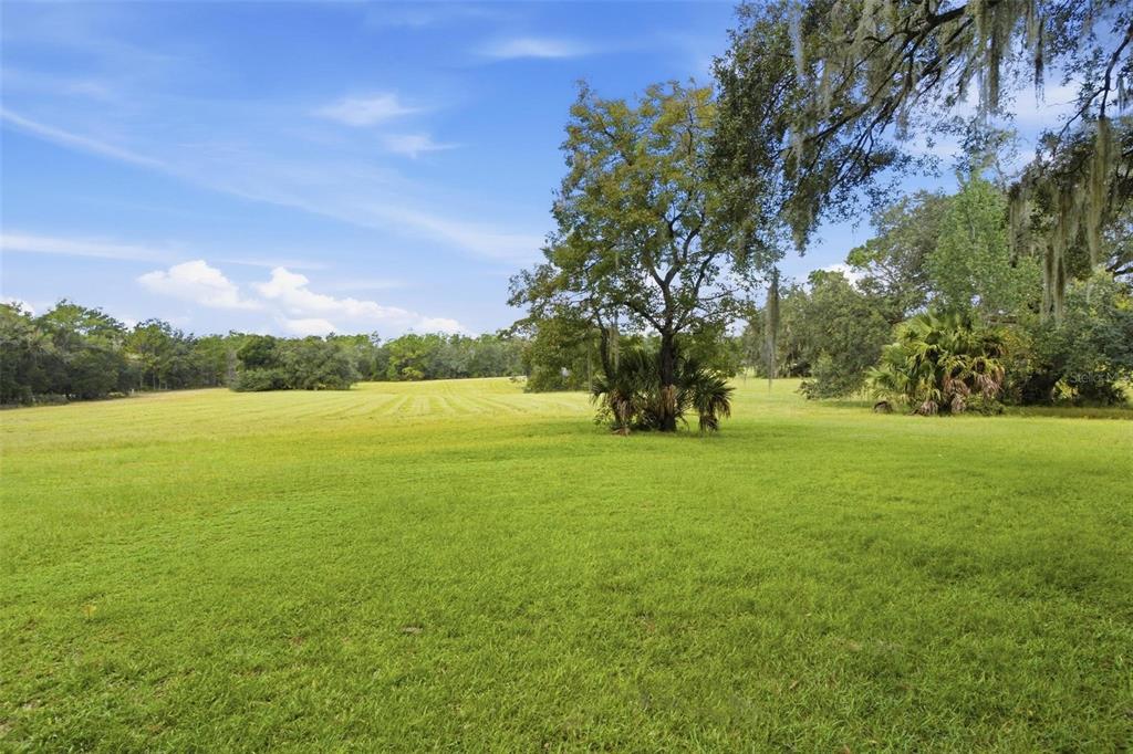 29025 SE 150TH STREET, ALTOONA, FL — photo 4 of 30