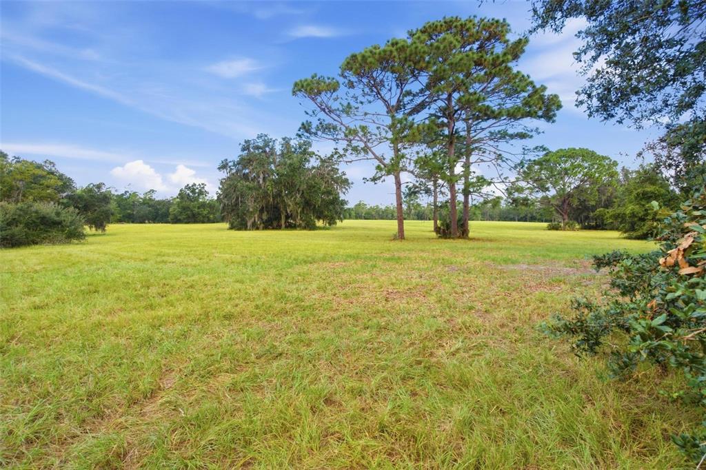 29025 SE 150TH STREET, ALTOONA, FL — photo 5 of 30
