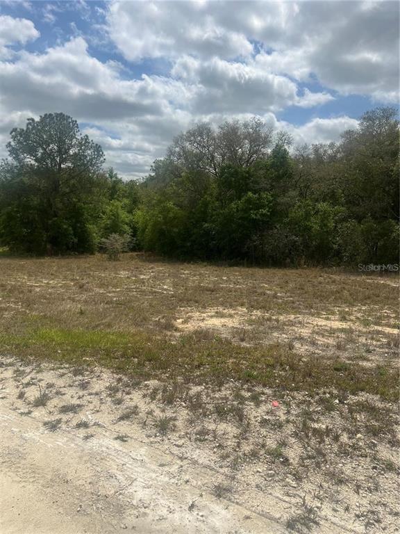 CLEFT ROCK ST, WEBSTER, FL — photo 2 of 5