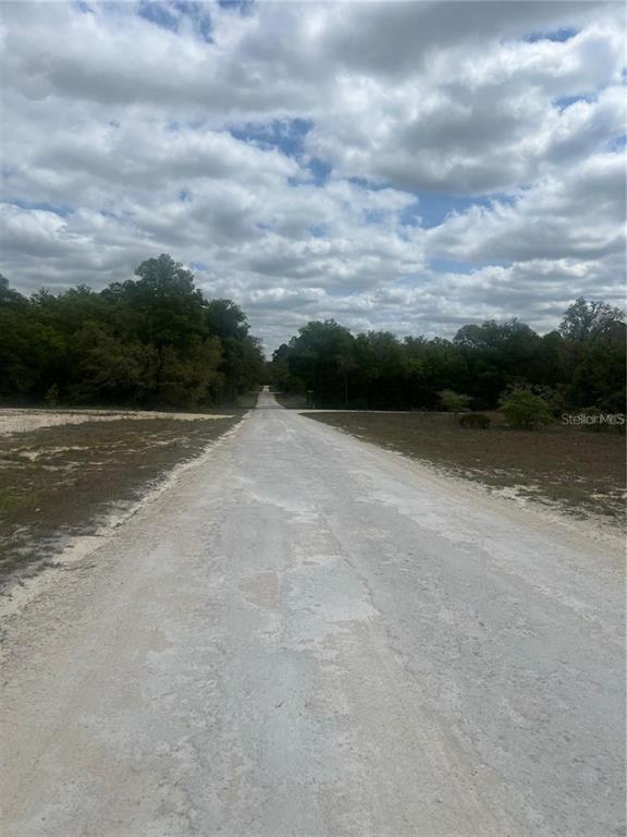 CLEFT ROCK ST, WEBSTER, FL — photo 4 of 5