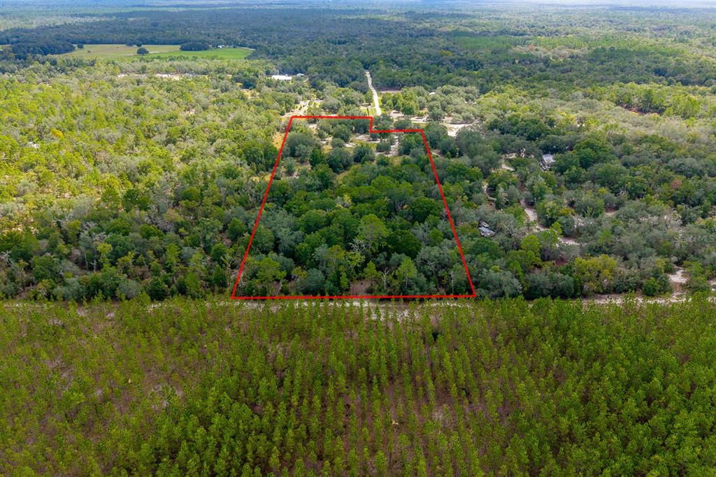 220 NE 108TH LANE, BRANFORD, FL — photo 3 of 9