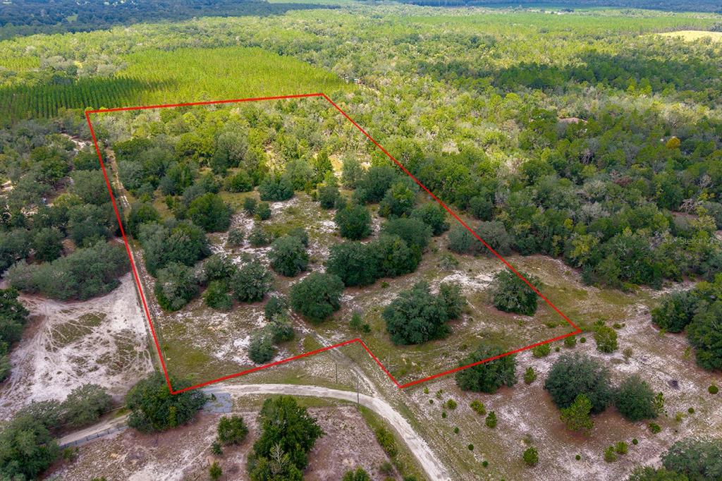 220 NE 108TH LANE, BRANFORD, FL — photo 4 of 9