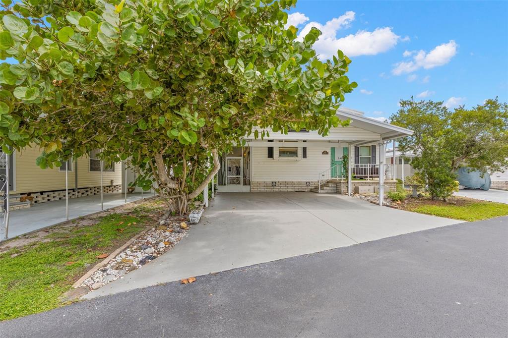 A single-story house with a carport, a large tree, and a concrete driveway — 357 MOUNT SAXON AVENUE NE UNIT 323, ST PETERSBURG, FL