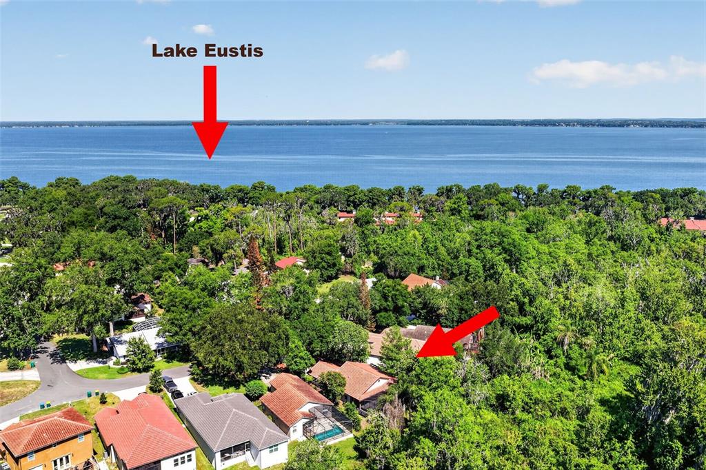 An aerial view shows a residential neighborhood with houses surrounded by trees near Lake Eustis — 39 FOREST LANE, EUSTIS, FL