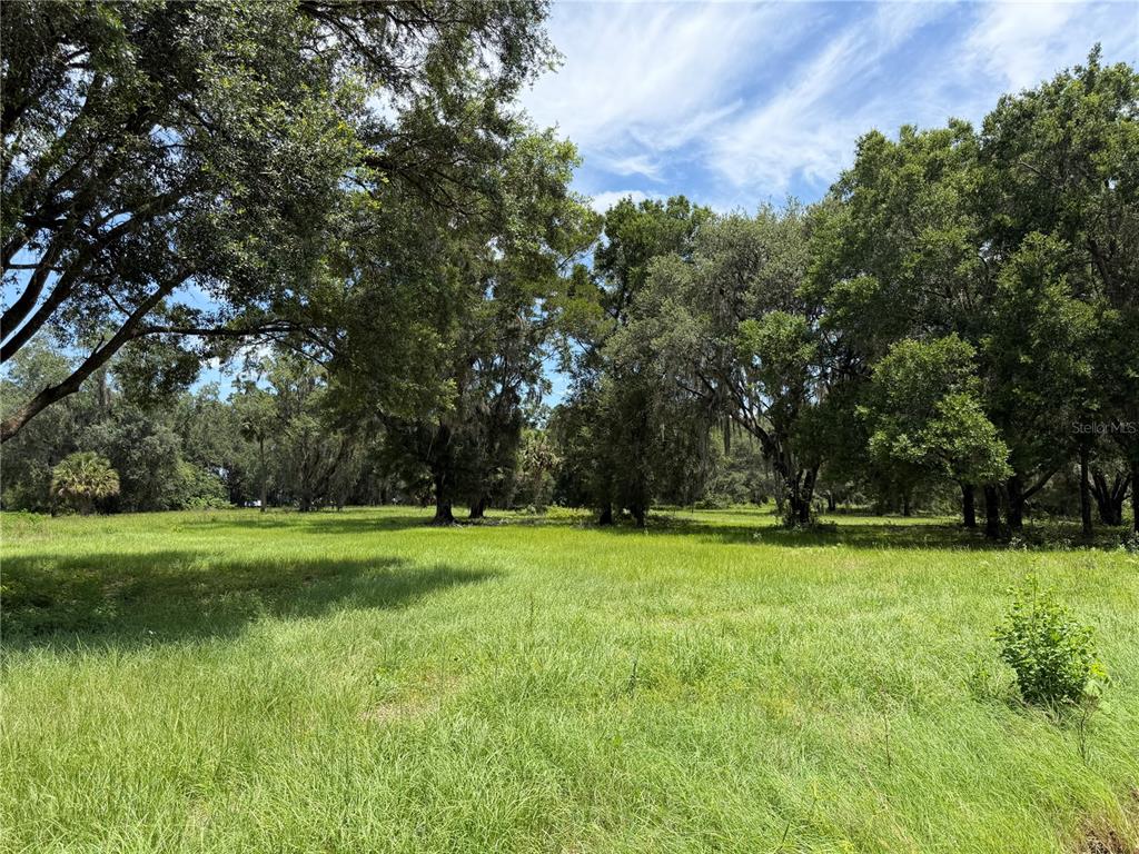 A large, grassy field is surrounded by mature trees under a blue sky — TBD NW 329, REDDICK, FL