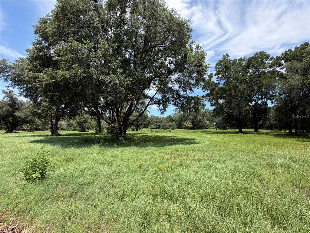A large, grassy field features several mature oak trees under a blue sky — TBD NW 329, REDDICK, FL