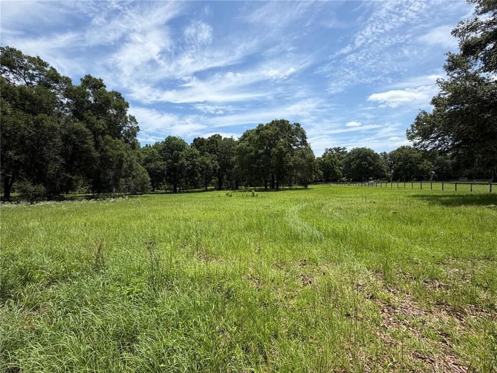 A grassy, open field is surrounded by mature trees under a bright, cloudy sky — TBD NW 329, REDDICK, FL