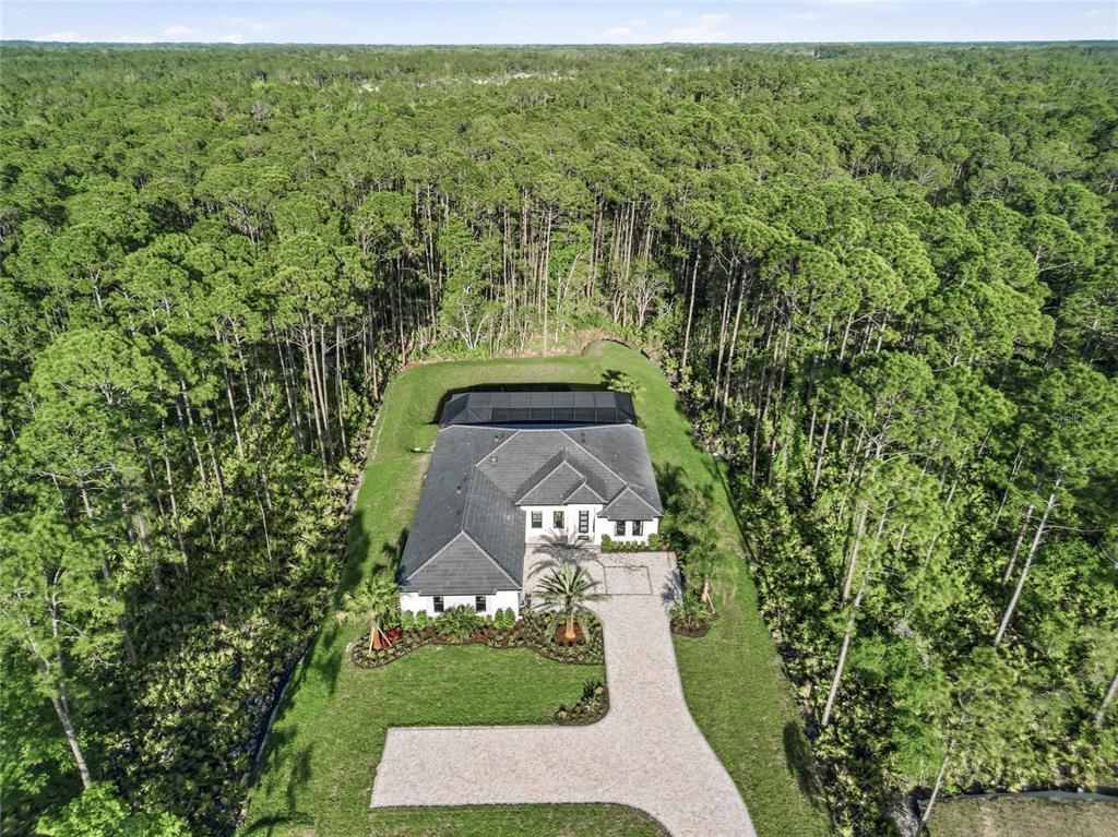 An aerial view shows a single-story house with a pool cage surrounded by dense forest — 461 N TYMBER CREEK ROAD, ORMOND BEACH, FL