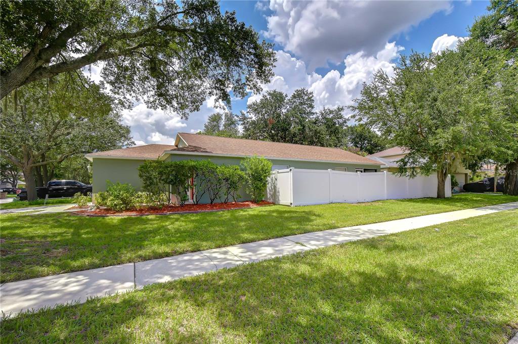 A single-story house with a white privacy fence, green siding, and a large grassy yard — 8736 MORRISON OAKS COURT, TEMPLE TERRACE, FL