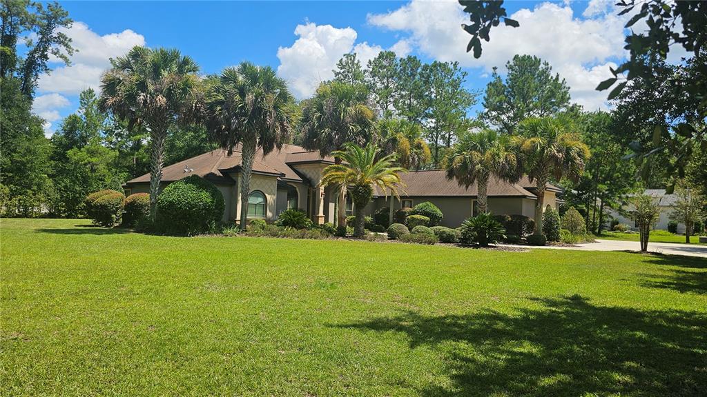 A single-story house with a brown roof, palm trees, and a large front lawn — 6019 NW 90TH STREET, GAINESVILLE, FL