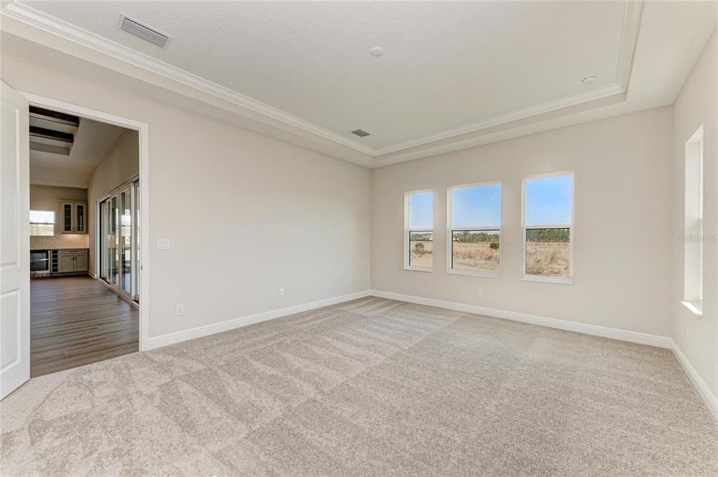 An empty bedroom with beige carpet, a tray ceiling, and three windows overlooking a field — 2058 ARCHING BRANCH DRIVE, ZEPHYRHILLS, FL
