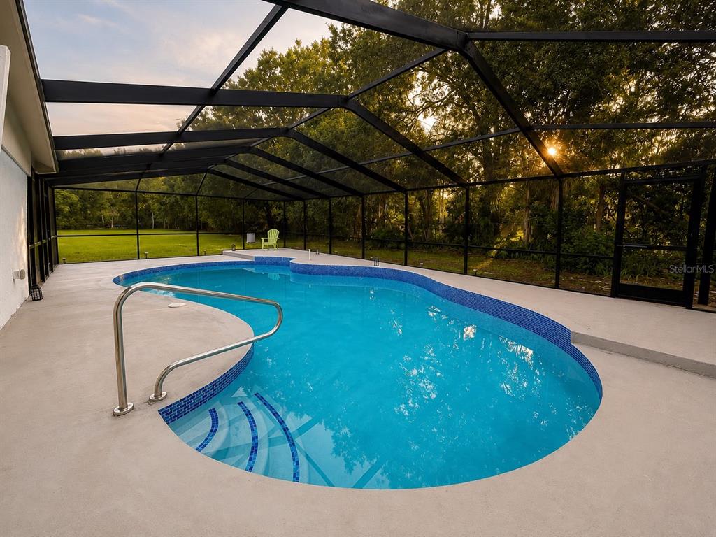 A screened-in swimming pool with a concrete deck and a metal handrail — 17238 BRIDLEPATH COURT, LUTZ, FL