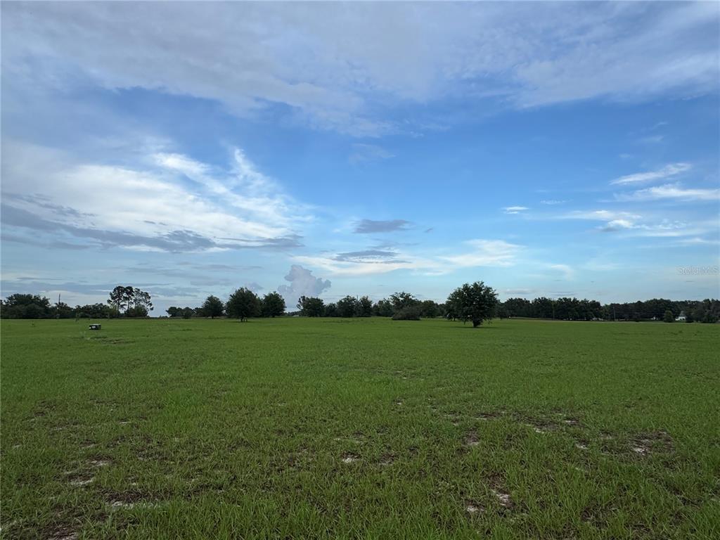 A wide, grassy field under a blue sky with scattered trees in the distance — GROVES DRIVE, GROVELAND, FL