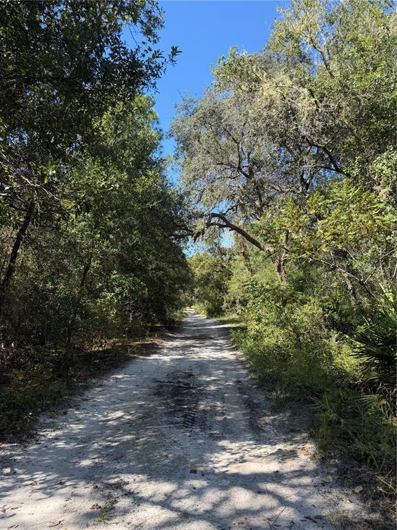 TBD SW 151ST PLACE, DUNNELLON, FL — photo 2 of 4