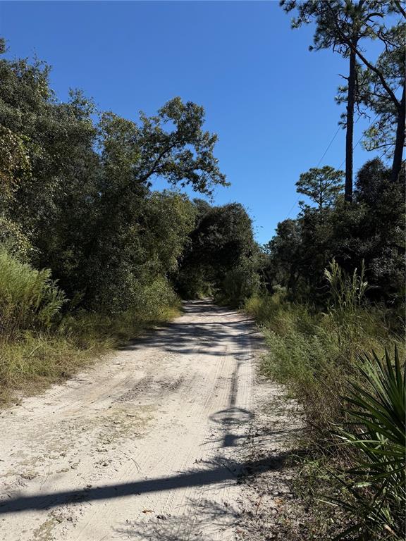 TBD SW 151ST PLACE, DUNNELLON, FL — photo 3 of 4